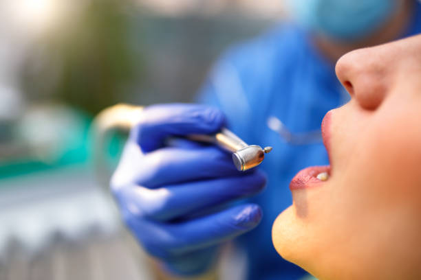 Professional Holistic Dental Care Services in Morton Grove, IL